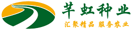 Logo关键词