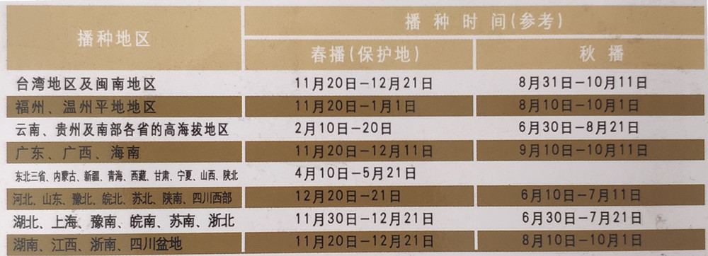 庆杰85天播种期
