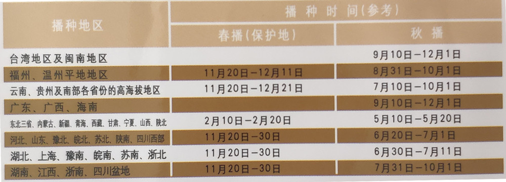 庆杰100天播种期