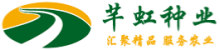 Logo关键词