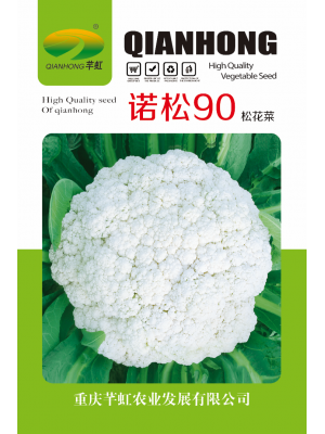诺松90