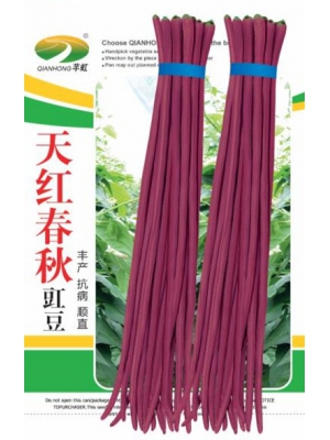 天红春秋