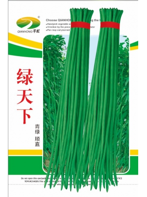 绿天下