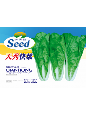 天秀快菜