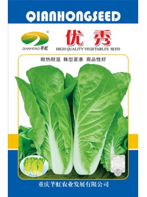 优秀