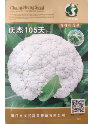 庆杰105天