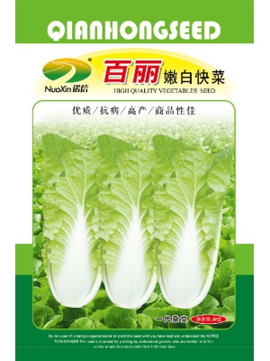 百丽