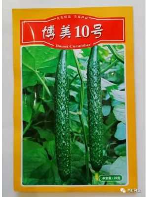 博美10号