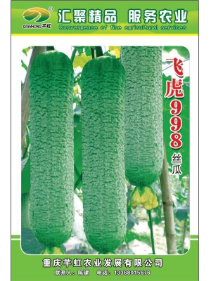 飞虎998