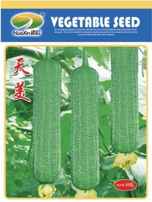天美
