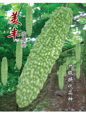 美丰