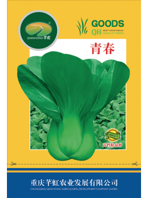 青春