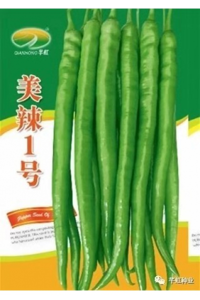 美辣1号
