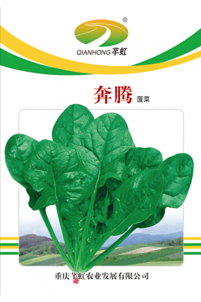 奔腾