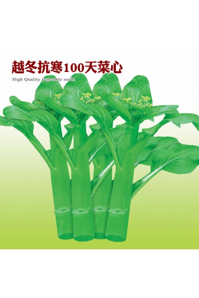 越冬抗寒100天