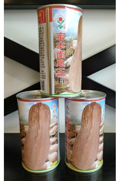 蜜本南瓜王