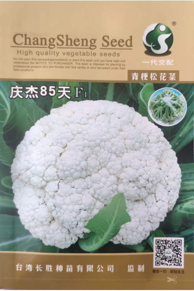 庆杰85天