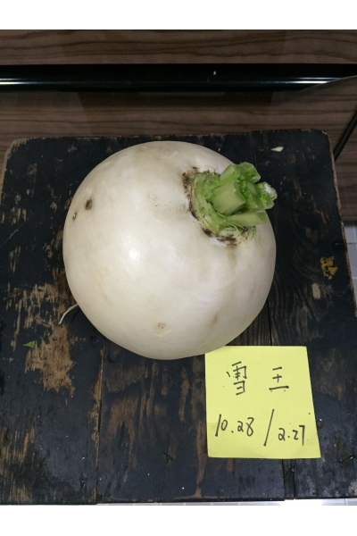 雪王