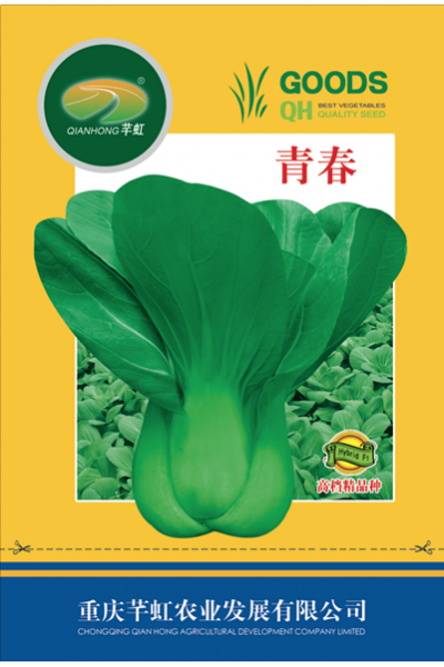 青春