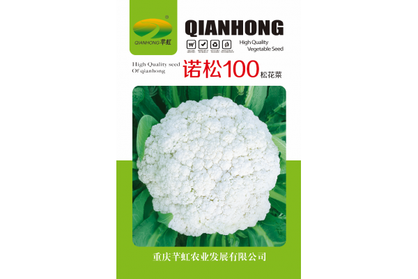 诺松100