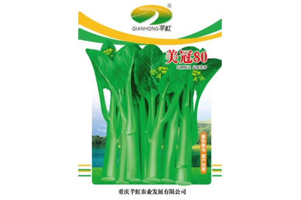 美冠80