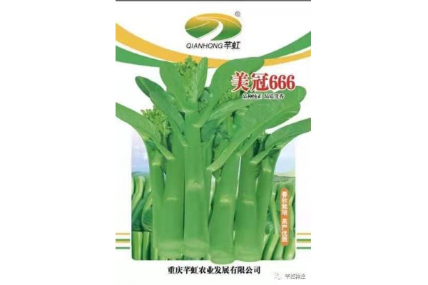 美冠666