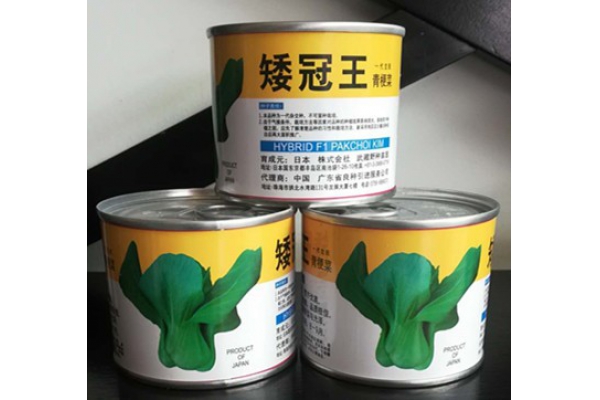 矮冠王