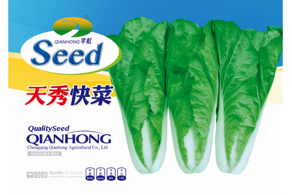 天秀快菜
