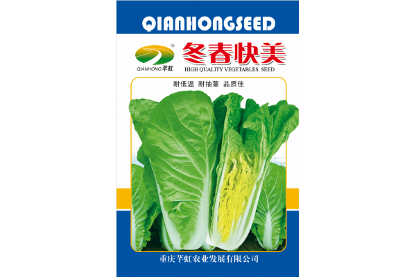 冬春快美