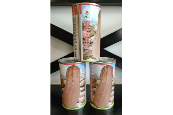 蜜本南瓜王