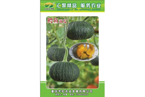 鳄鱼