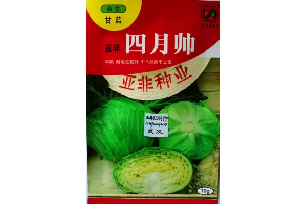 四月帅
