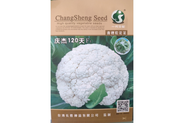 庆杰120天