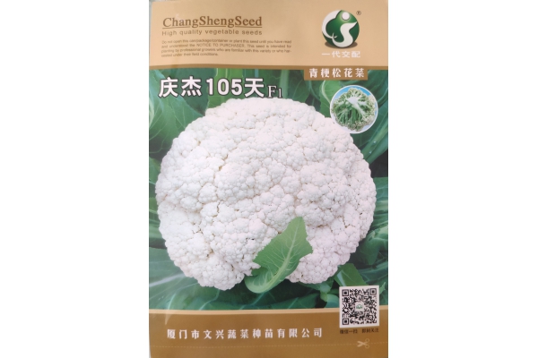 庆杰105天