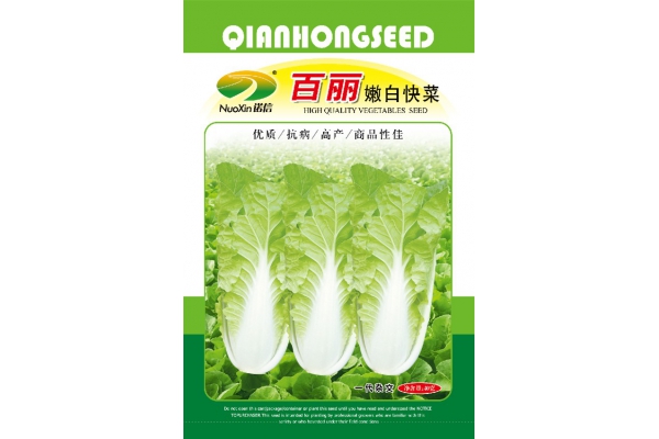 百丽