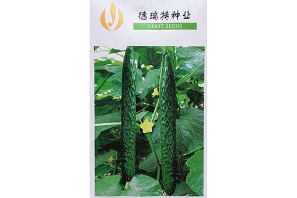 博美410